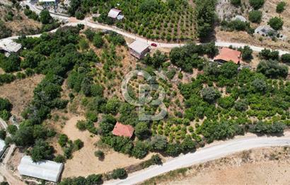 ANTALYA KAŞ SATILIK 3 AYRI MÜSTAKİL TAPU - EV, BAĞ VE TARLA