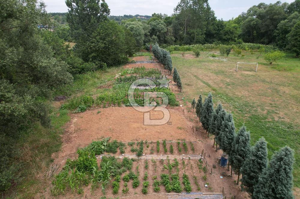 Maşukiyede Site İçerisinde Doğa ile İç İçe Yaşam İsteyenler