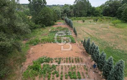 Maşukiyede Site İçerisinde Doğa ile İç İçe Yaşam İsteyenler