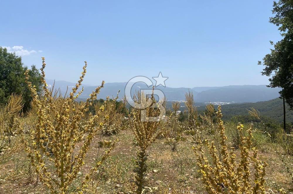 ANTALYA KAŞ ÇEŞMEKÖY SATILIK KÖY İÇİ İMARINDA TARLA