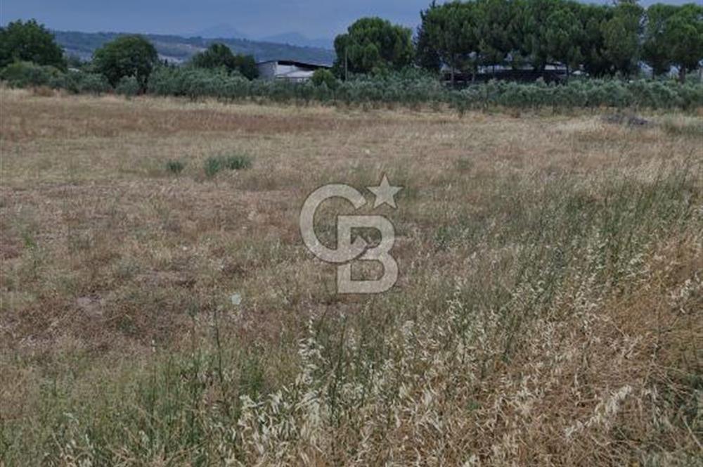 12.416 M² LAND FOR SALE IN TORBALI DEMİRCİ VILLAGE WITH VERY EASY ACCESS