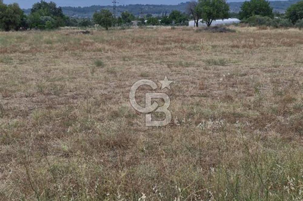 12.416 M² LAND FOR SALE IN TORBALI DEMİRCİ VILLAGE WITH VERY EASY ACCESS