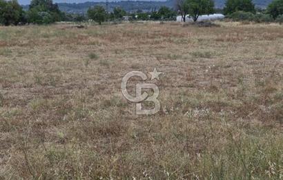 12.416 M² LAND FOR SALE IN TORBALI DEMİRCİ VILLAGE WITH VERY EASY ACCESS