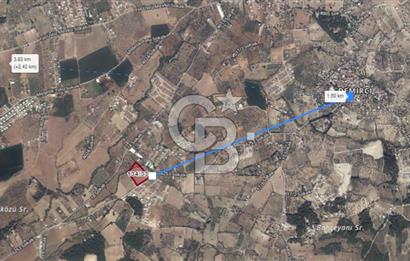 12.416 M² LAND FOR SALE IN TORBALI DEMİRCİ VILLAGE WITH VERY EASY ACCESS