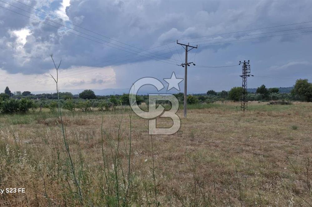 12.416 M² LAND FOR SALE IN TORBALI DEMİRCİ VILLAGE WITH VERY EASY ACCESS