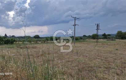 12.416 M² LAND FOR SALE IN TORBALI DEMİRCİ VILLAGE WITH VERY EASY ACCESS