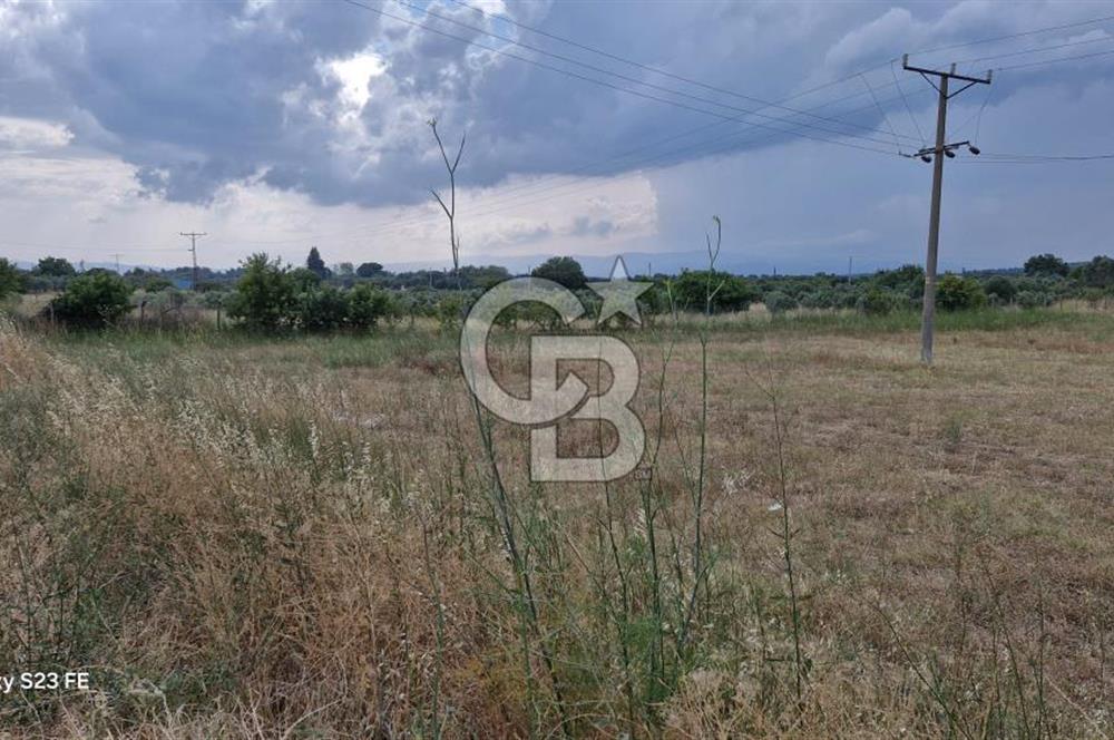 12.416 M² LAND FOR SALE IN TORBALI DEMİRCİ VILLAGE WITH VERY EASY ACCESS