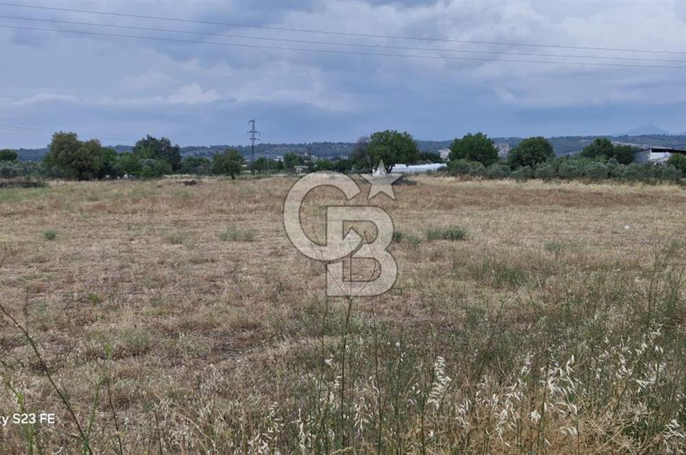 12.416 M² LAND FOR SALE IN TORBALI DEMİRCİ VILLAGE WITH VERY EASY ACCESS