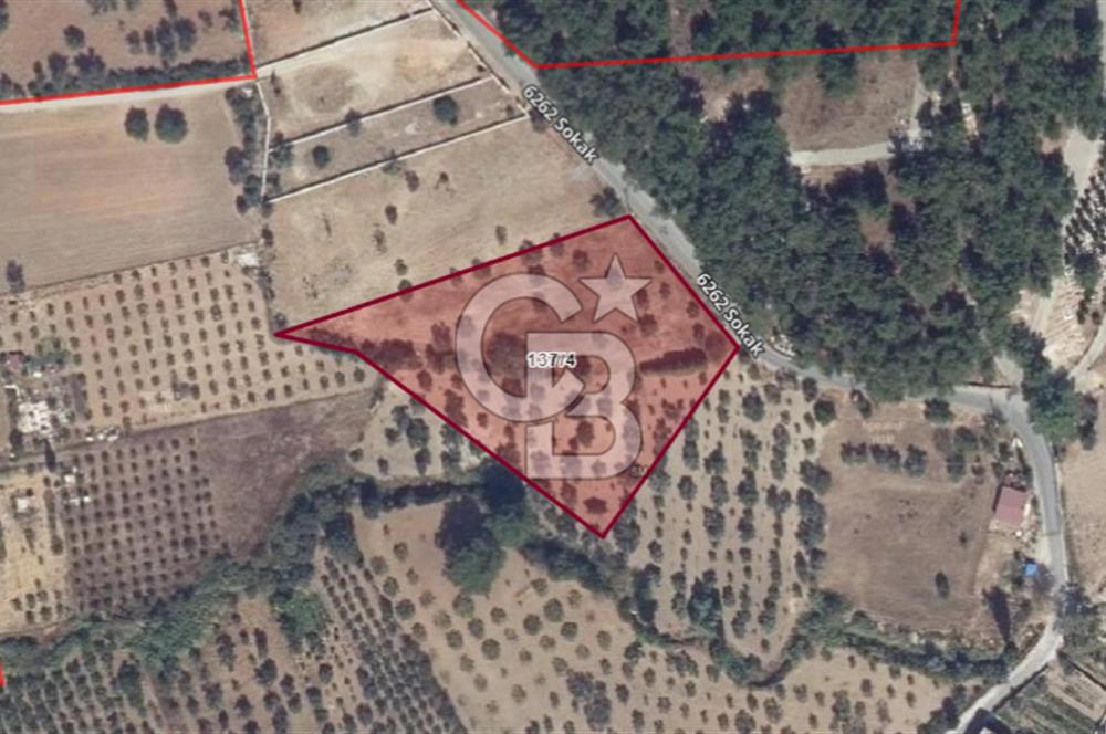 VERY EASY TO ACCESS 7408 M² LAND FOR SALE IN TORBALI DEMIRCI VILLAGE