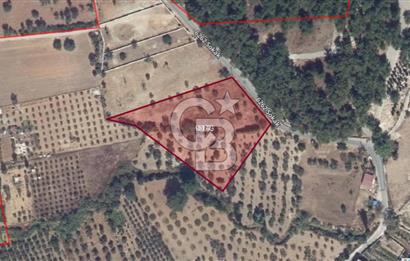 VERY EASY TO ACCESS 7408 M² LAND FOR SALE IN TORBALI DEMIRCI VILLAGE