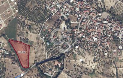 10.130 M² LAND WITH A REGISTERED HOUSE IN TORBALI DEMIRCI VILLAGE FOR SALE