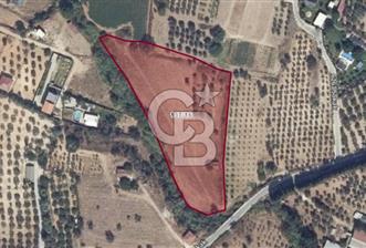 10.130 M² LAND WITH A REGISTERED HOUSE IN TORBALI DEMIRCI VILLAGE FOR SALE