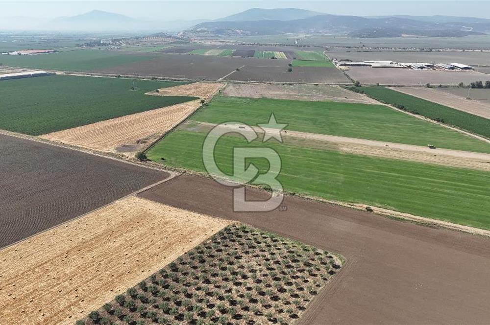 Torbalı Yazıbaşında YatırımlıkTarla(Sanayi İmarına Çok Yakın)