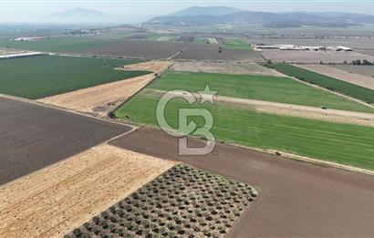 Torbalı Yazıbaşında YatırımlıkTarla(Sanayi İmarına Çok Yakın)