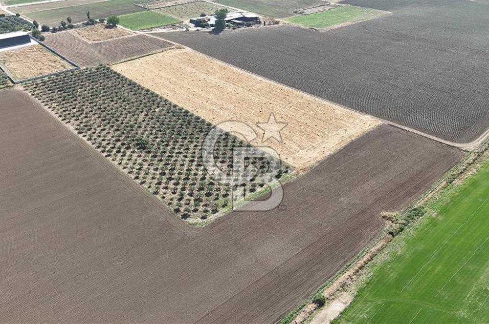 Torbalı Yazıbaşında YatırımlıkTarla(Sanayi İmarına Çok Yakın)