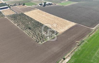 Torbalı Yazıbaşında YatırımlıkTarla(Sanayi İmarına Çok Yakın)