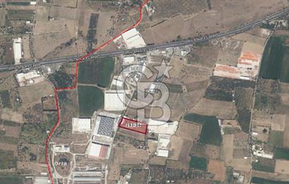 Commercial Warehouse Land for Sale in Kemalpaşa