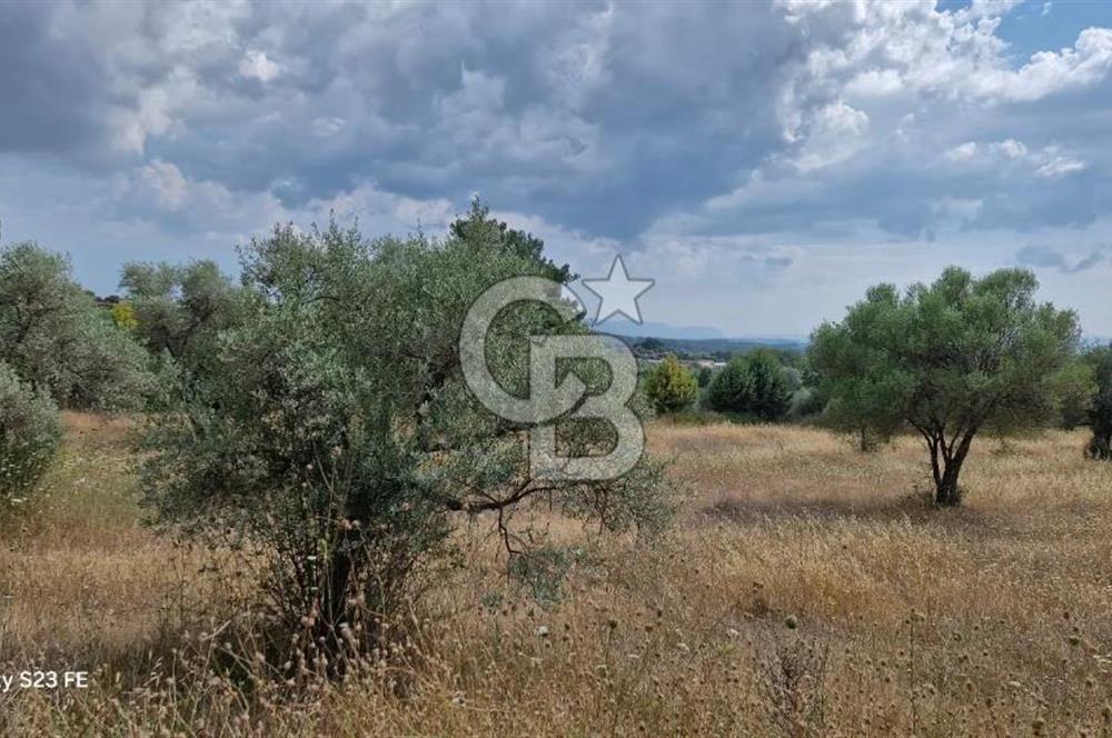 10.130 M² LAND WITH A REGISTERED HOUSE IN TORBALI DEMIRCI VILLAGE FOR SALE