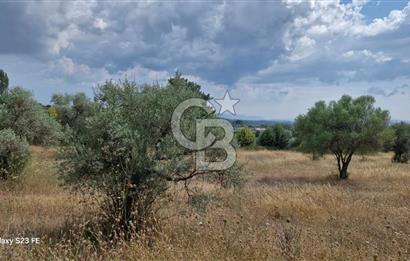 10.130 M² LAND WITH A REGISTERED HOUSE IN TORBALI DEMIRCI VILLAGE FOR SALE