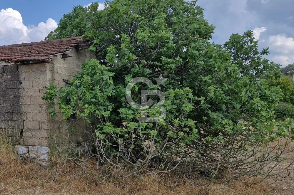 TORBALI DEMİRCİ KÖYÜNDE İÇİNDE KAYITLI EVİ OLAN SATILIK 10.130 M² ARAZİ