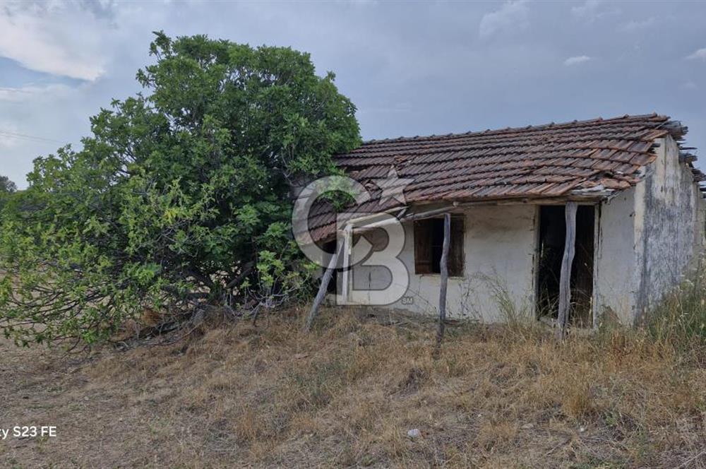 TORBALI DEMİRCİ KÖYÜNDE İÇİNDE KAYITLI EVİ OLAN SATILIK 10.130 M² ARAZİ