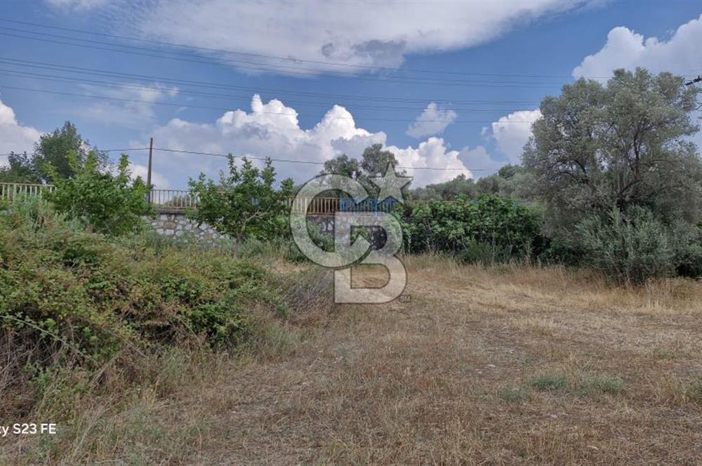 10.130 M² LAND WITH A REGISTERED HOUSE IN TORBALI DEMIRCI VILLAGE FOR SALE