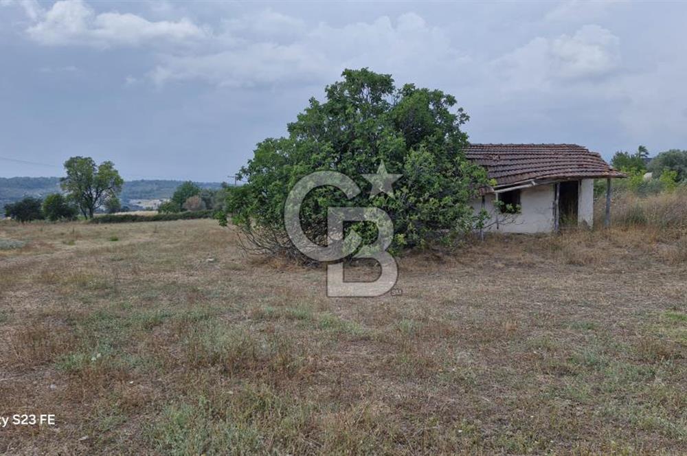 TORBALI DEMİRCİ KÖYÜNDE İÇİNDE KAYITLI EVİ OLAN SATILIK 10.130 M² ARAZİ