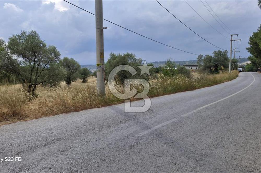 VERY EASY TO ACCESS 7408 M² LAND FOR SALE IN TORBALI DEMIRCI VILLAGE