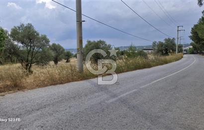 VERY EASY TO ACCESS 7408 M² LAND FOR SALE IN TORBALI DEMIRCI VILLAGE