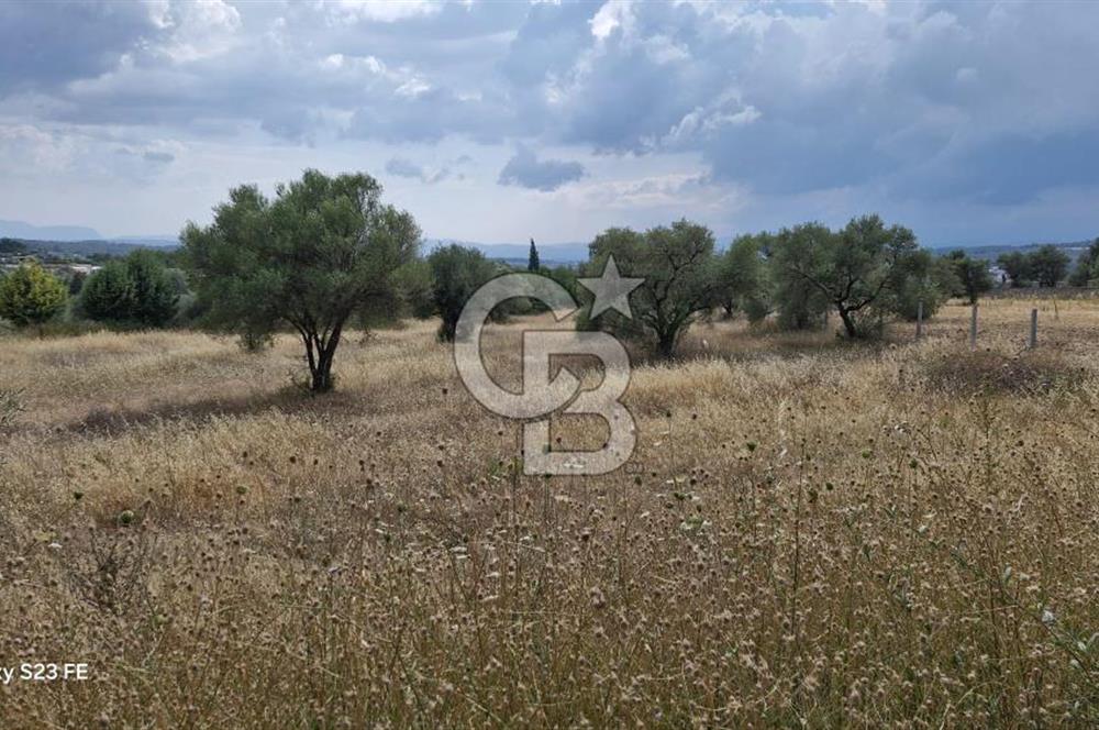 VERY EASY TO ACCESS 7408 M² LAND FOR SALE IN TORBALI DEMIRCI VILLAGE