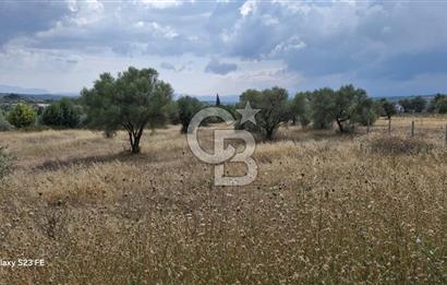 VERY EASY TO ACCESS 7408 M² LAND FOR SALE IN TORBALI DEMIRCI VILLAGE