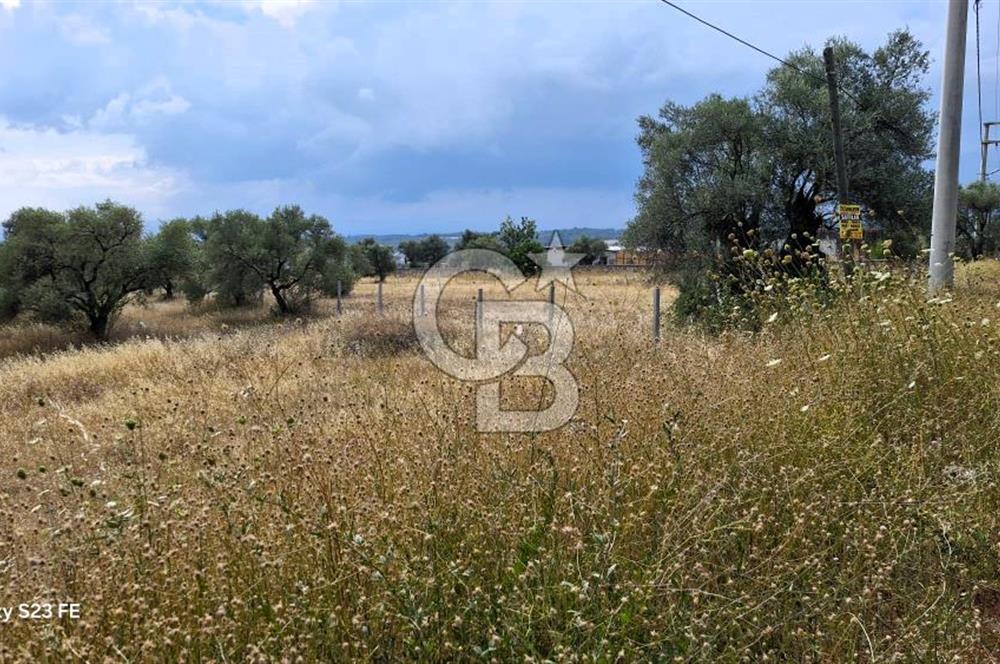 VERY EASY TO ACCESS 7408 M² LAND FOR SALE IN TORBALI DEMIRCI VILLAGE