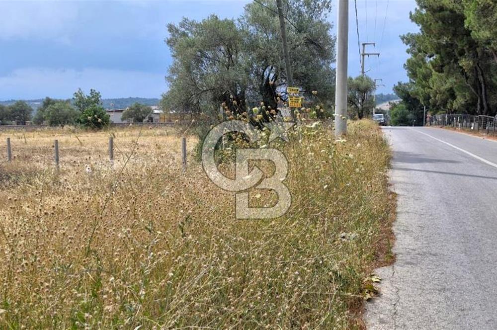 VERY EASY TO ACCESS 7408 M² LAND FOR SALE IN TORBALI DEMIRCI VILLAGE