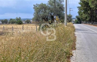 VERY EASY TO ACCESS 7408 M² LAND FOR SALE IN TORBALI DEMIRCI VILLAGE