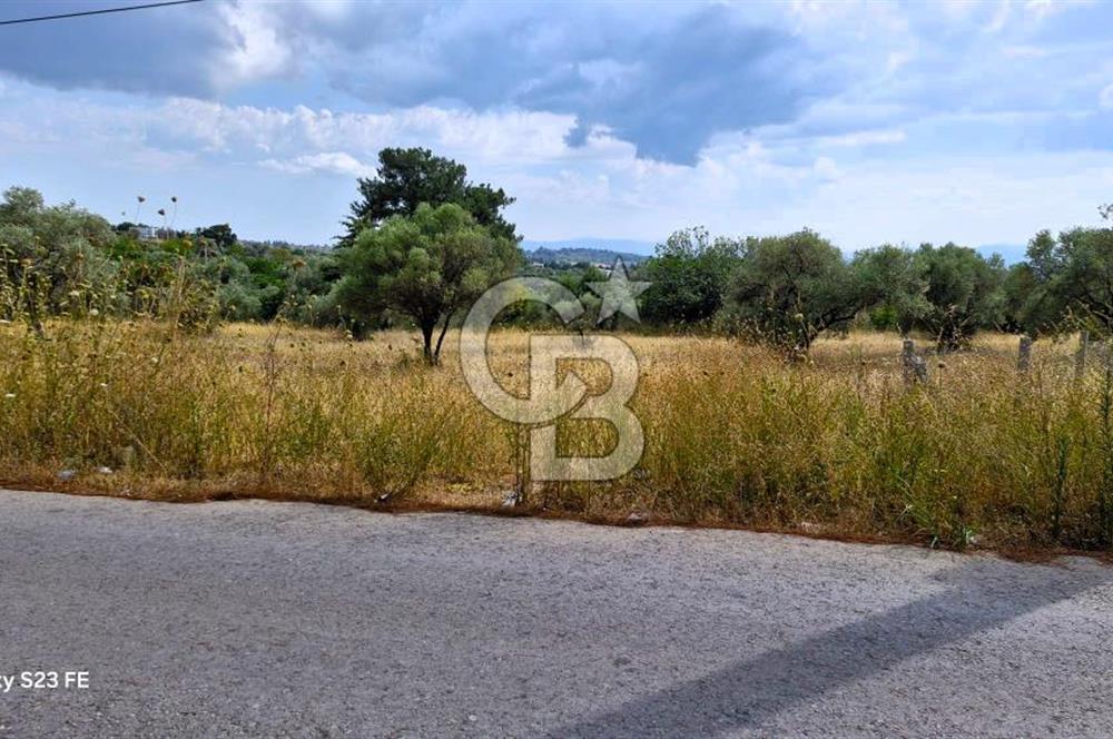 VERY EASY TO ACCESS 7408 M² LAND FOR SALE IN TORBALI DEMIRCI VILLAGE