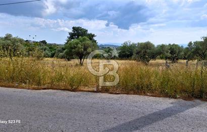 VERY EASY TO ACCESS 7408 M² LAND FOR SALE IN TORBALI DEMIRCI VILLAGE