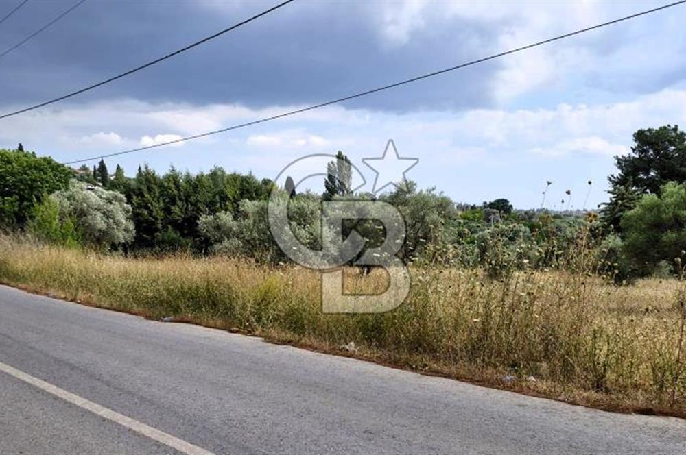 VERY EASY TO ACCESS 7408 M² LAND FOR SALE IN TORBALI DEMIRCI VILLAGE