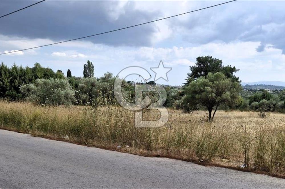 VERY EASY TO ACCESS 7408 M² LAND FOR SALE IN TORBALI DEMIRCI VILLAGE