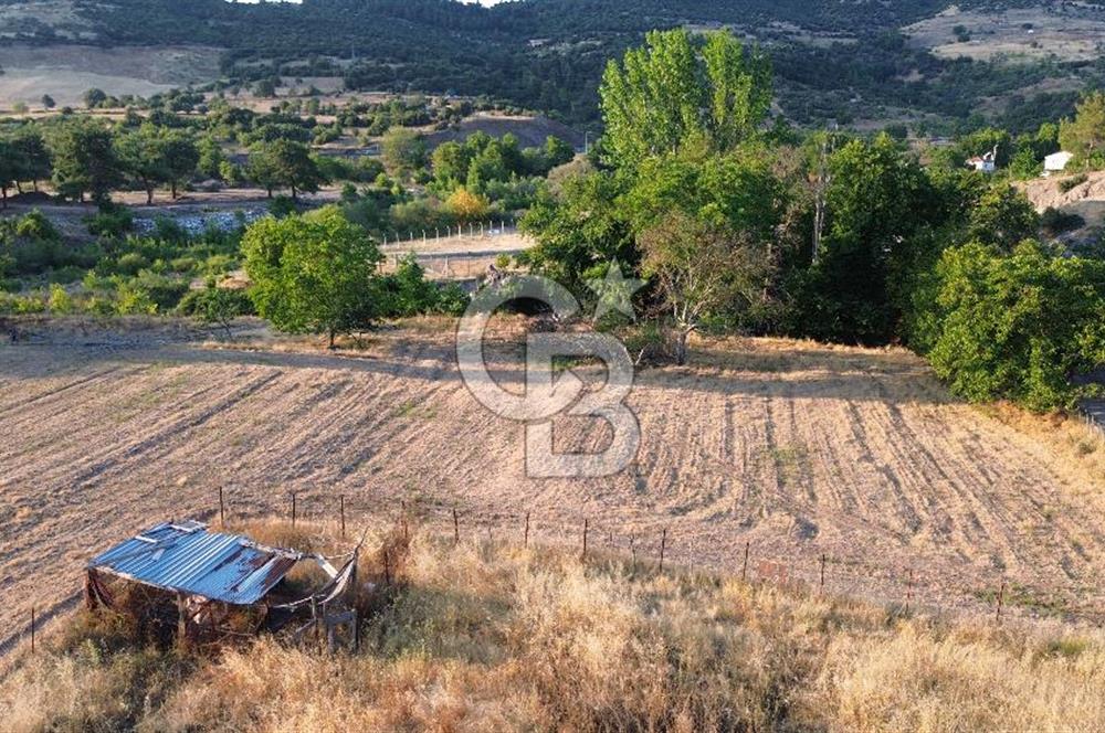 Çanakkale Serçiler Köyünde Satılık Tarla