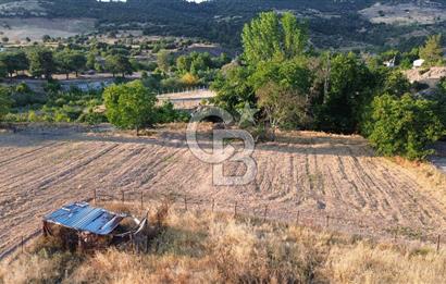 Çanakkale Serçiler Köyünde Satılık Tarla