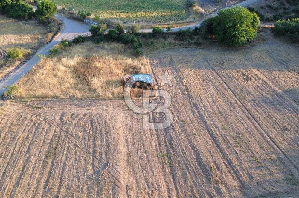 Çanakkale Serçiler Köyünde Satılık Tarla