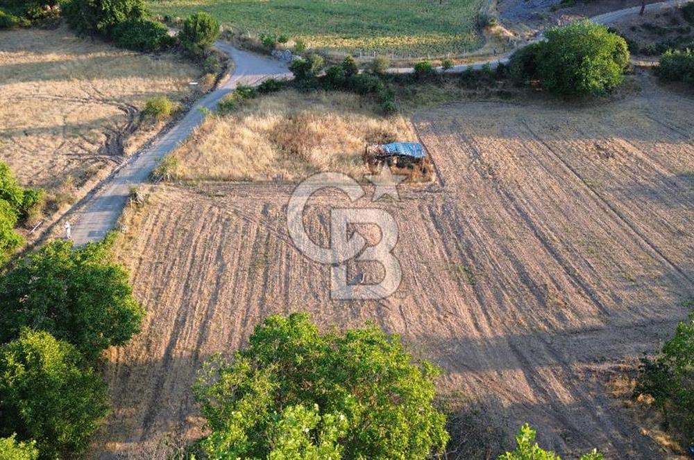 Çanakkale Serçiler Köyünde Satılık Tarla