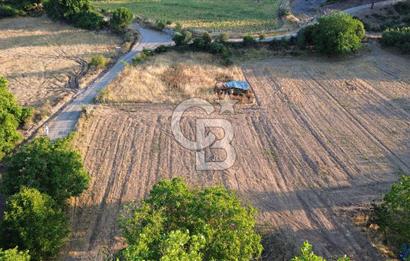 Çanakkale Serçiler Köyünde Satılık Tarla