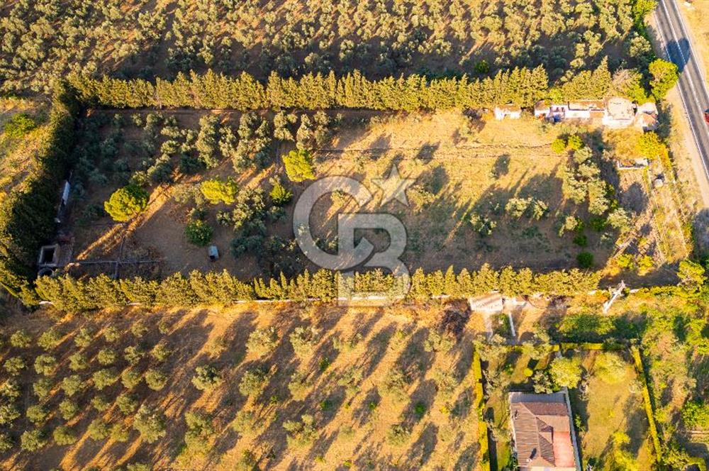 Foça Ilıpınar'da Anayol Üzeri Satılık 7 Dönüm Tarla