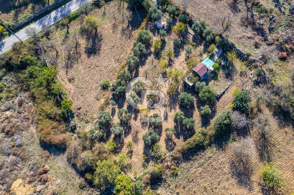 Datça Hızırşah'ta 1583m² Resmi Yoluve120m² Yapı kaydı Olan Tarla