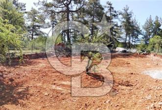 Muğla Kıran'da 1659m2 Satılık Tarla