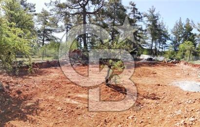 Muğla Kıran'da 1659m2 Satılık Tarla