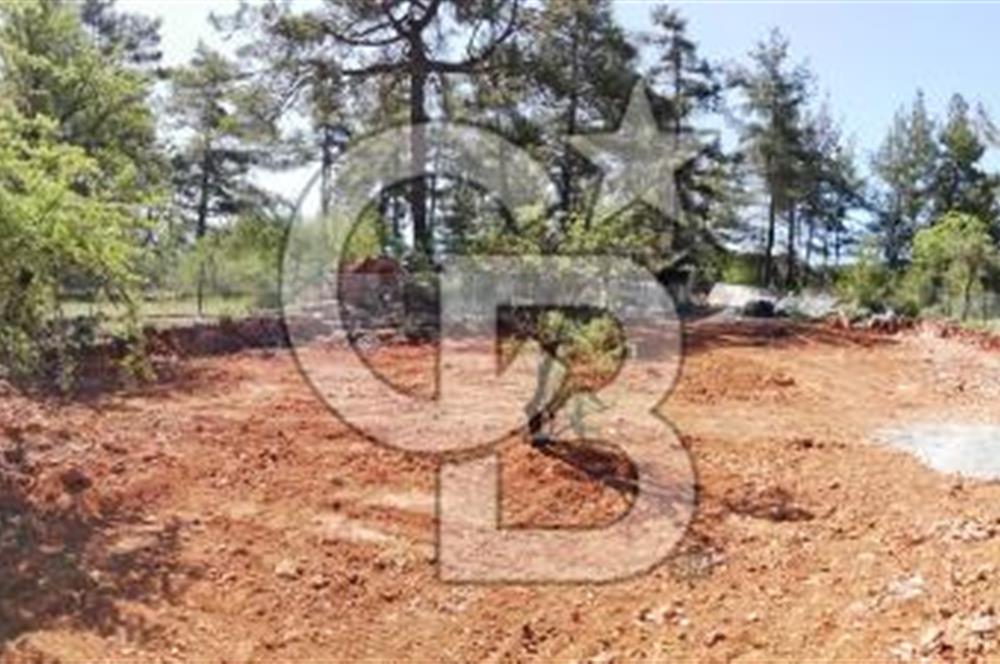 Muğla Kıran'da 1659m2 Satılık Tarla