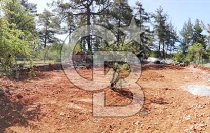 Muğla Kıran'da 1659m2 Satılık Tarla