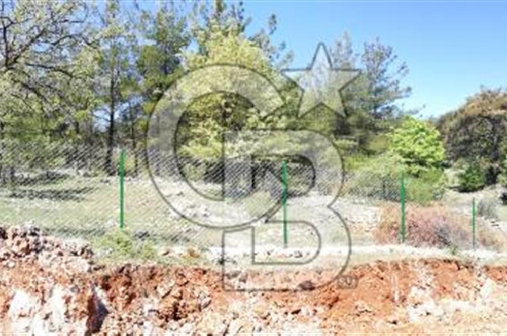 Muğla Kıran'da 1659m2 Satılık Tarla